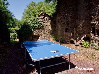 Tennis de table dans le jardin - Gite de Barenton
